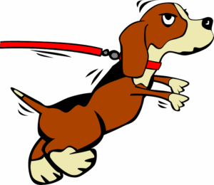 Illustration eines Hundes an der Leine beim Spaziergang