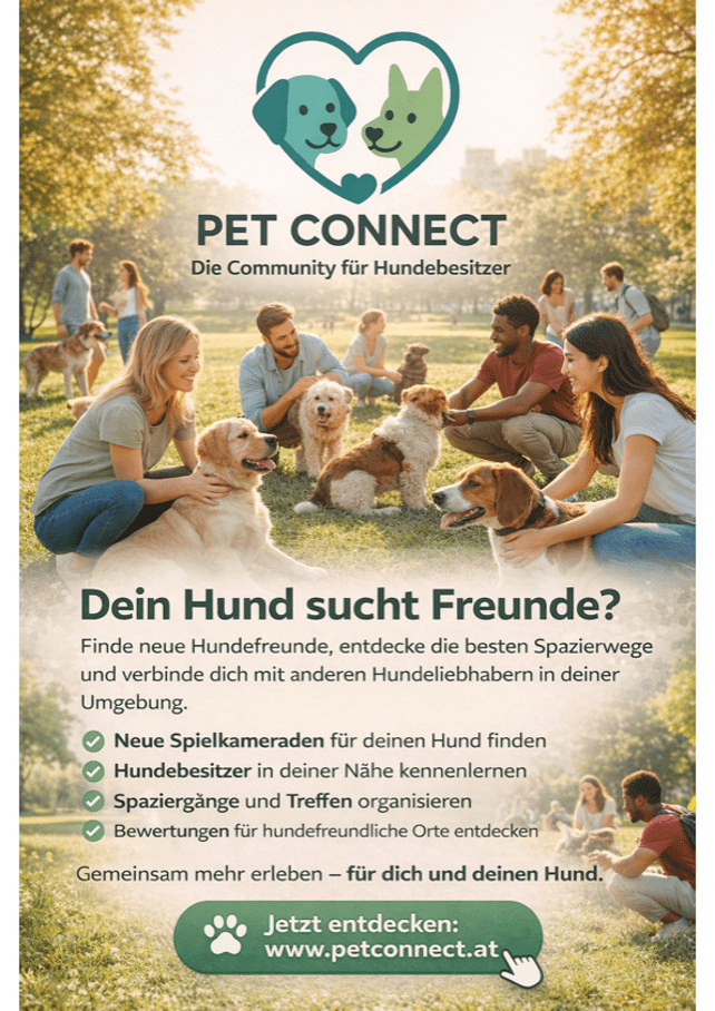 Menschen mit ihren Hunden treffen sich im Park über die Plattform Pet Connect, eine Community-App für Hundebesitzer zum Vernetzen, Spazierengehen und Finden neuer Hundefreunde.
